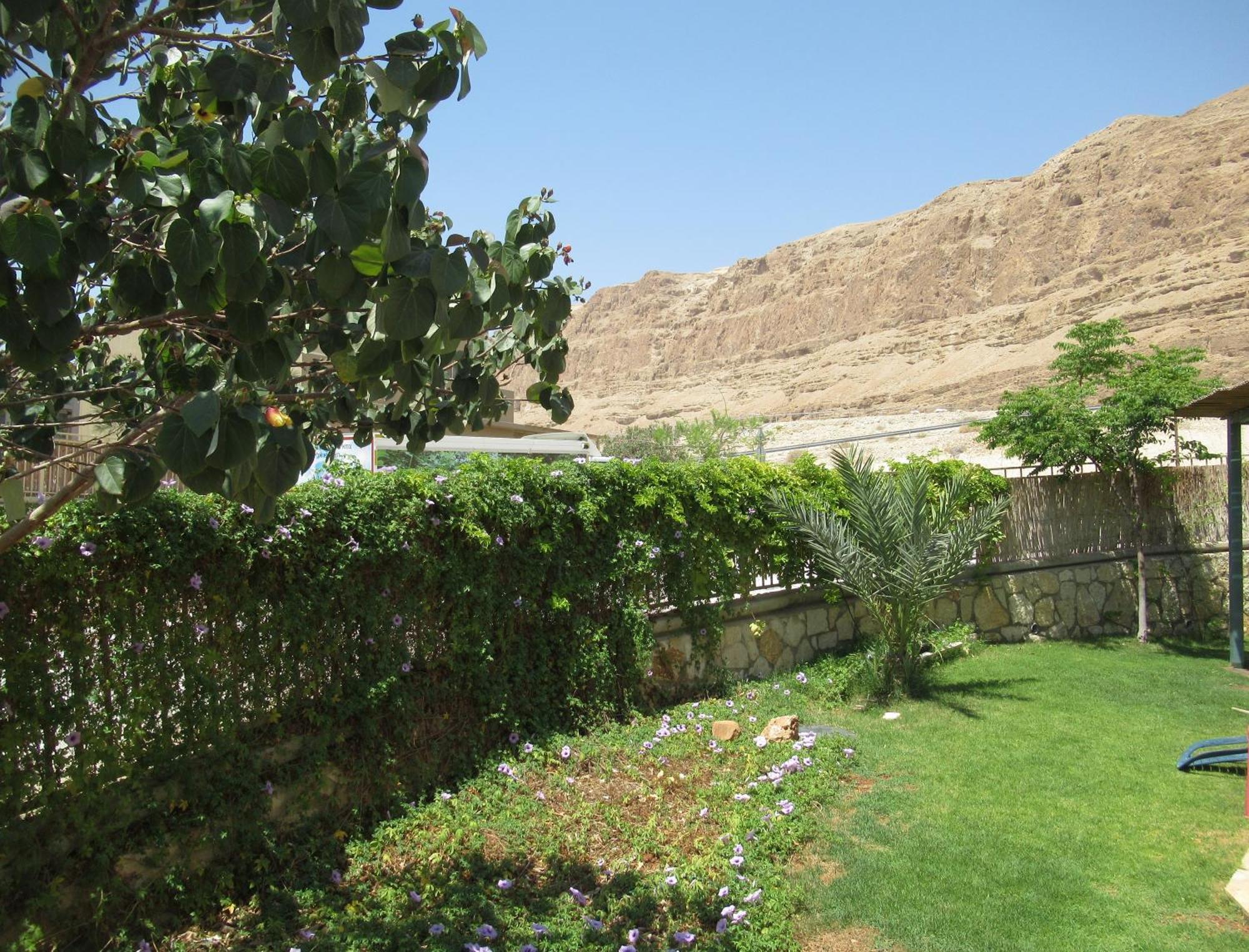 Unique&Warmy Place In The Dead Sea Avnat Exterior foto